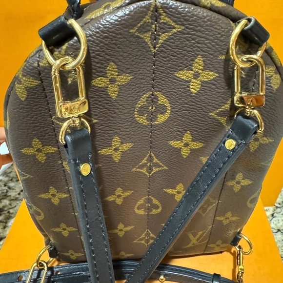 Louis Vuitton Palm Springs mini - Picture 4 of 12